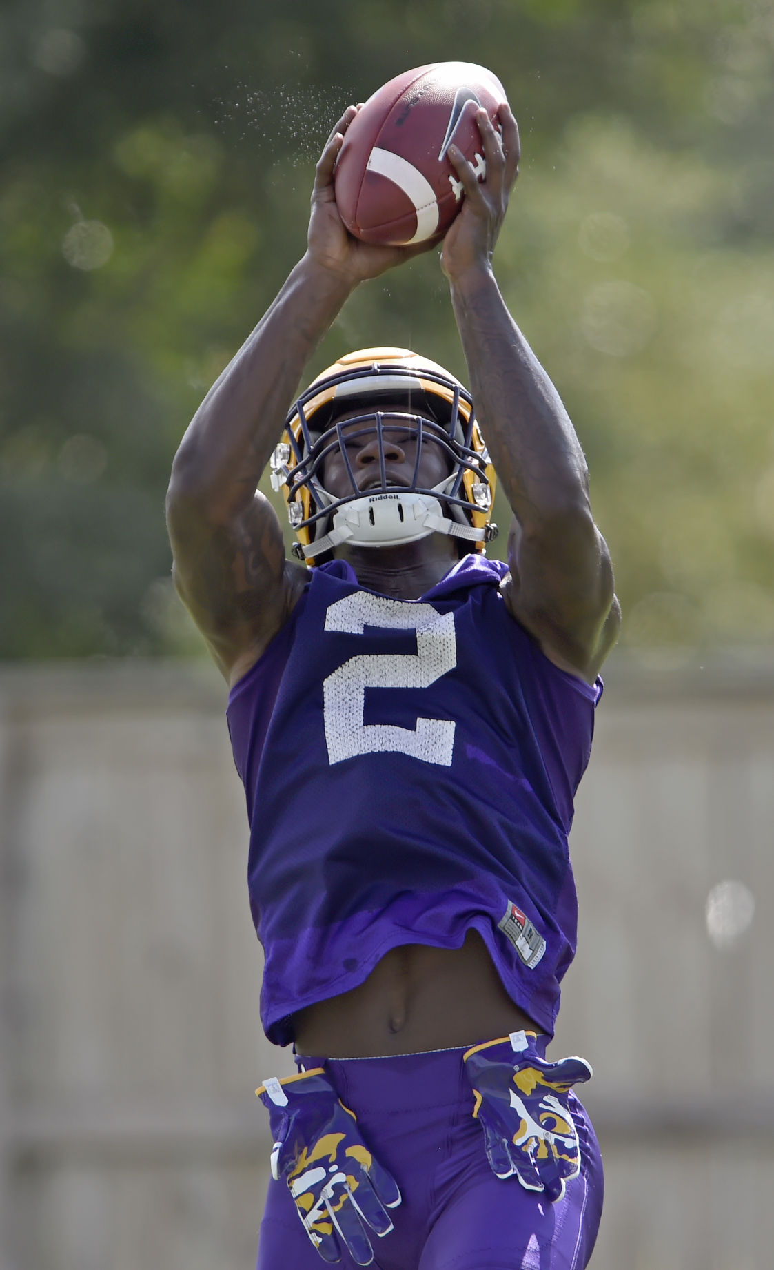 LSUFootball bf 0282.jpg